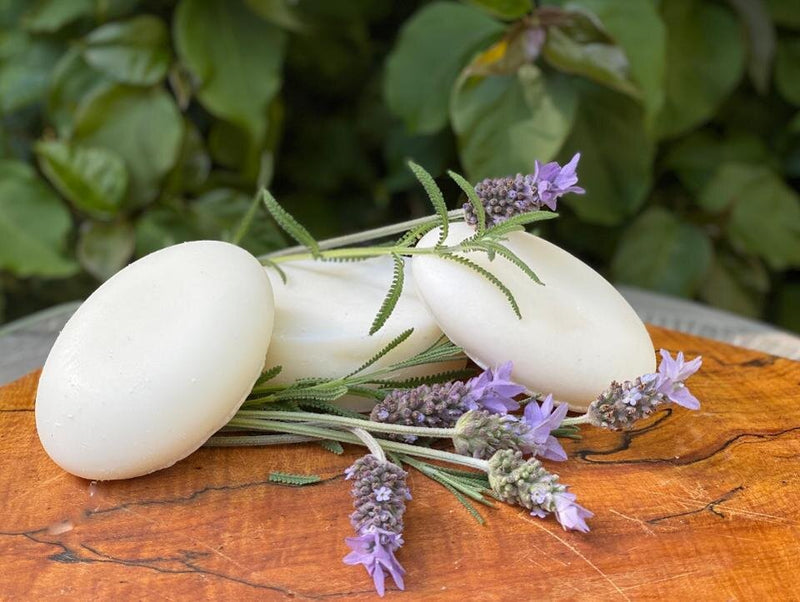 Banish Plastic Bottles From Your Bathroom With These Shampoo And Conditioner Bars