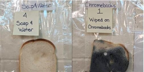 School experiment shows students the effects of not washing their hands