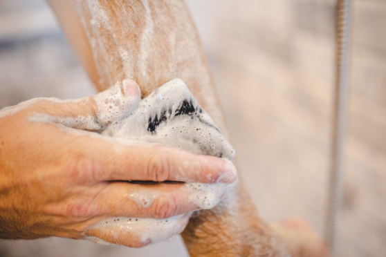 Why Use Bar Soap for Washing Hands | Best Germ Protection Soap